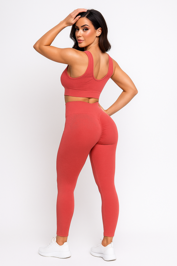 Conjunto Fitness Feminino Empório Pit Bull Top e Legging
