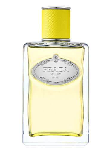Prada Les Infusions D'Ylang Unissex EDP - Leon Elegance
