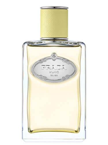 Prada Les Infusions De Gingembre Unissex EDP - Leon Elegance