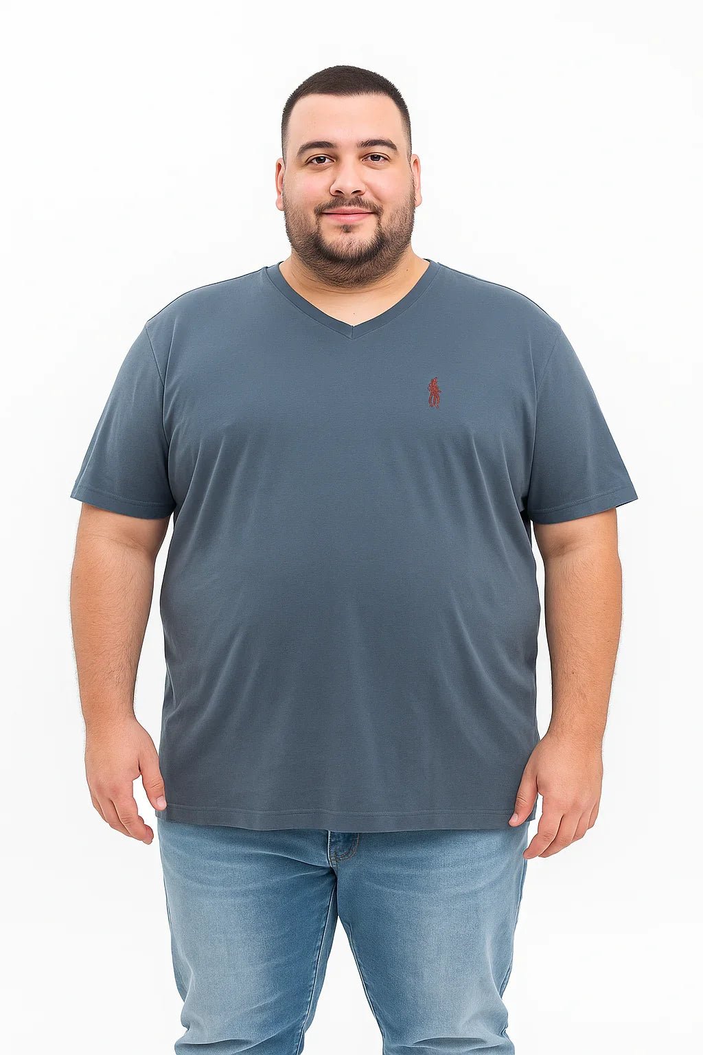 Camiseta Gola V Logo Bordado - Leon Elegance