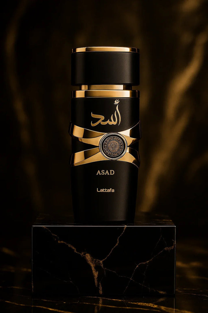 Perfume Asad Lattafa Eau de Parfum Masculino 100ml - Leon Elegance