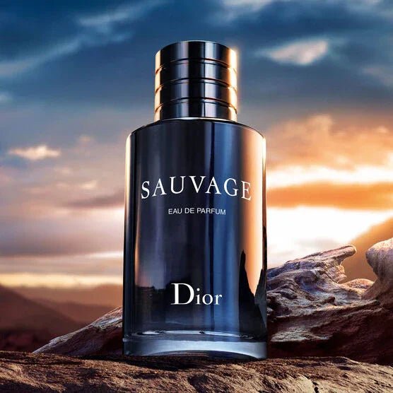 perfume dior sauvage masculino eau de toilette 100ml - Leon Elegance