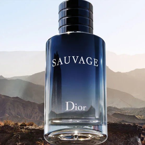 perfume dior sauvage masculino eau de toilette 100ml - Leon Elegance