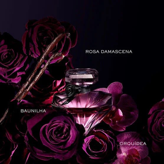 perfume lancôme la nuit trésor feminino eau de parfum 100ml - Leon Elegance