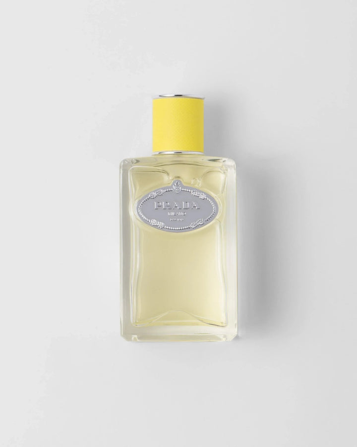 perfume prada les infusions de gingembre unissex eau de parfum 100ml - Leon Elegance