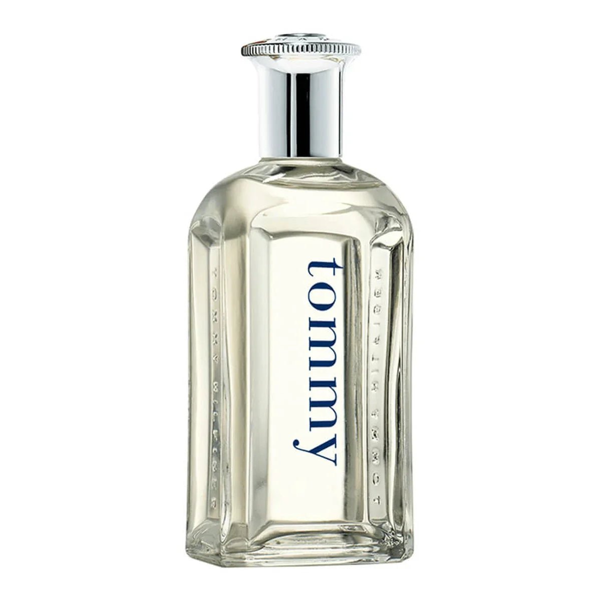 perfume tommy hilfiger masculino eau de toilette 100ml - Leon Elegance