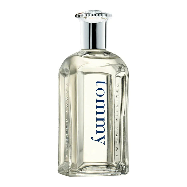 perfume tommy hilfiger masculino eau de toilette 100ml - Leon Elegance