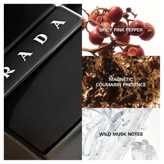 Prada Luna Rossa Black Masculino EDP - Leon Elegance